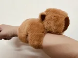 Capybara 卡皮巴拉趴趴圈 圖片 2